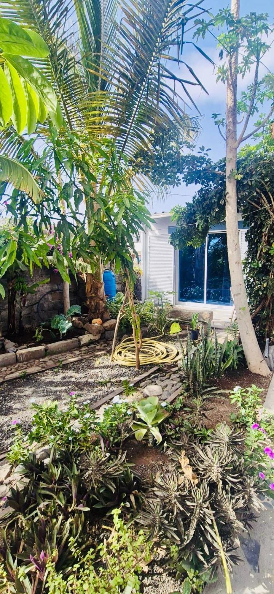 Apartmán Casa Chiquinha Ribeira da Prata Exteriér fotografie