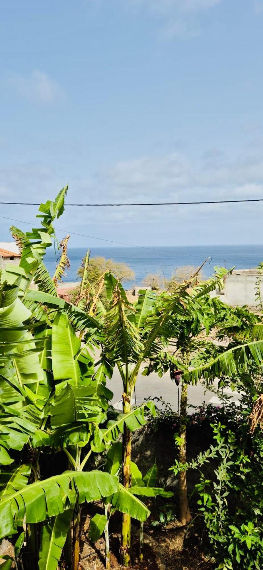 Apartmán Casa Chiquinha Ribeira da Prata Exteriér fotografie