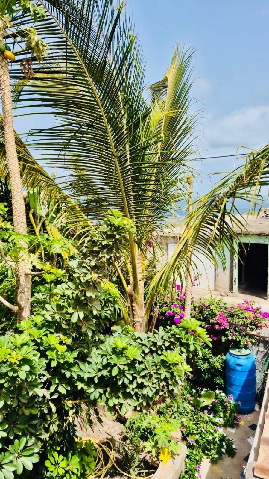 Apartmán Casa Chiquinha Ribeira da Prata Exteriér fotografie